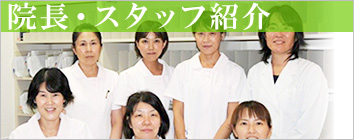 スタッフ紹介